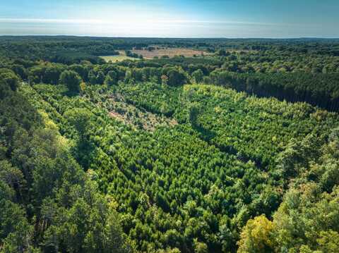 Vacantland 60th Avenue, Mecosta, MI 49332