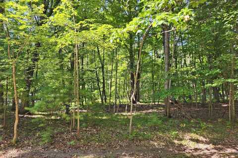 10933 Shawnee Trail, Stanwood, MI 49346