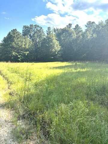 Lot A Milner Road, Chappells, SC 29037