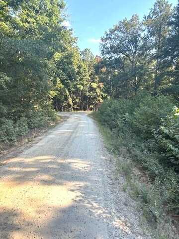 Lot B Milner Road, Chappells, SC 29037