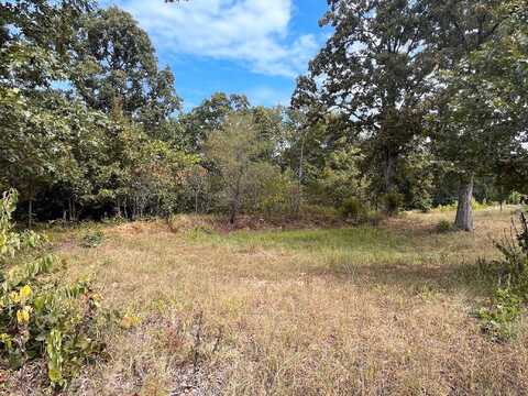 11 Wilderness Trail, Tunas, MO 65764
