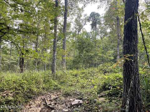 Off Buckridge Rd. - 30.5 Acres, Crossville, TN 38572
