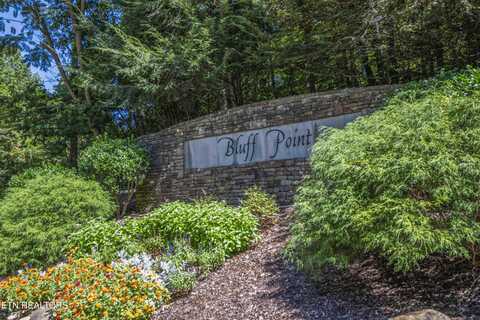 2029 Duck Cove Drive, Knoxville, TN 37922