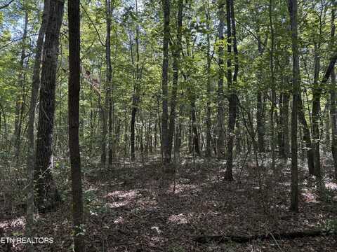 Lot 11 Jumpoff Place, Monterey, TN 38574