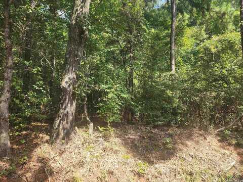 Tbd CR 294 E, Kilgore, TX 75662