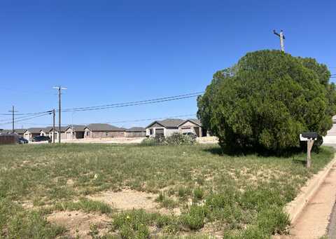 1602 Xavier Street, Lubbock, TX 79403