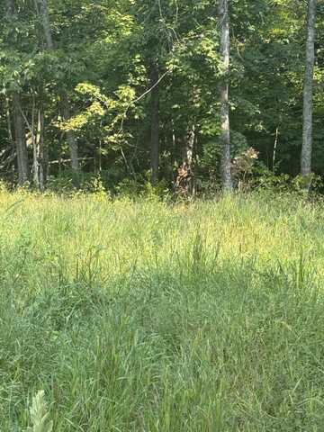 1000 Hidden Acres, Mount Olivet, KY 41064