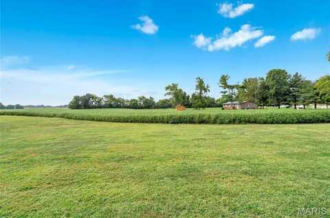 Lot 1 E Back Street, Hecker, IL 62248