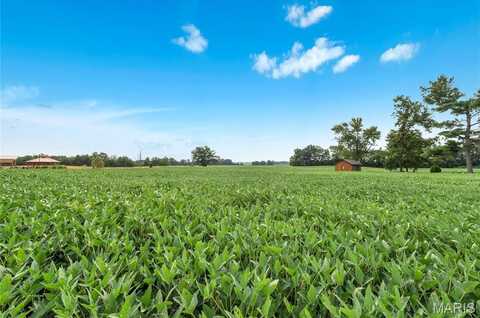 Lot 2 E Back Street, Hecker, IL 62248