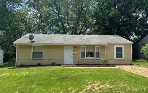 9757 Lorna Lane, Unincorporated, MO 63136