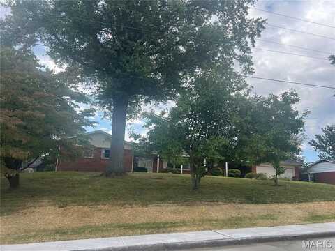 2449 Janet Drive, Cape Girardeau, MO 63701