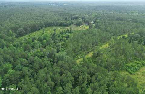 209 Tower Road, Wiggins, MS 39577