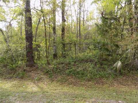 16126 SUNFLOWER TRAIL, ORLANDO, FL 32828