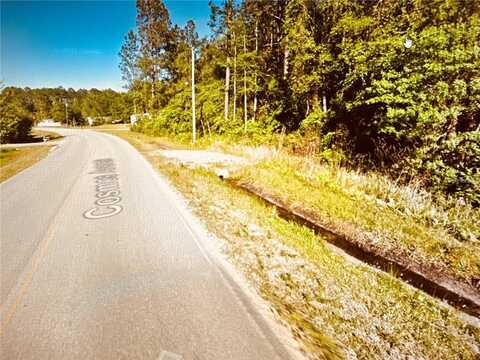 2223 COSMOS AVENUE, MIDDLEBURG, FL 32068