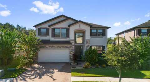 10721 PLEASANT KNOLL DRIVE, TAMPA, FL 33647