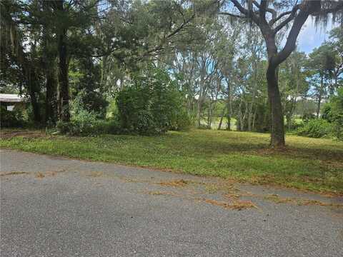 16951 SE 65TH STREET, OCKLAWAHA, FL 32179