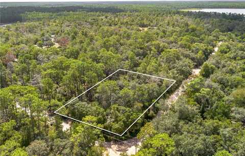 0 SOUTHEAST 92ND PLACE, OCKLAWAHA, FL 32179