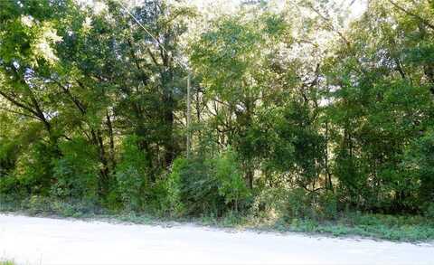 150TH COURT, OCALA, FL 34481