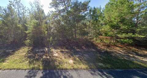 ALLADIN DRIVE, CHIPLEY, FL 32428