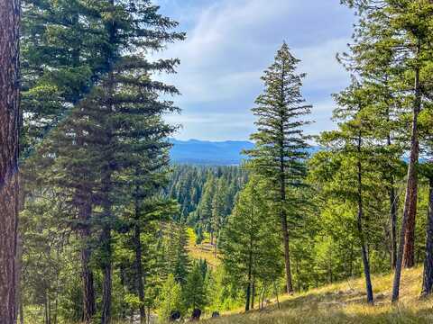 NHN Black Bear Court, Seeley Lake, MT 59868
