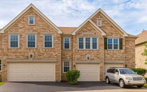 1238 Christine Court, Vernon Hills, IL 60061