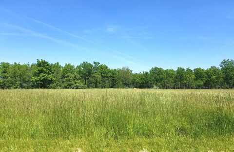 Lot 78 Lake Wildwood Drive, Varna, IL 61375