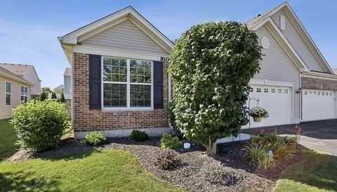 8104 Arlington Lane, Joliet, IL 60431