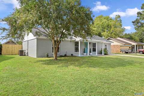 203 Robinson Street SW, Decatur, AL 35601