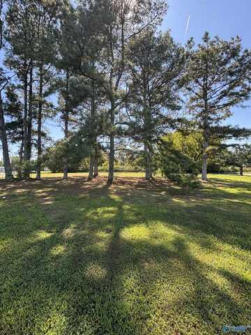 8044 Highway 53, Toney, AL 35773