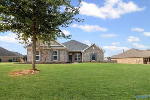 134 Twin Rivers Drive, Hazel Green, AL 35750