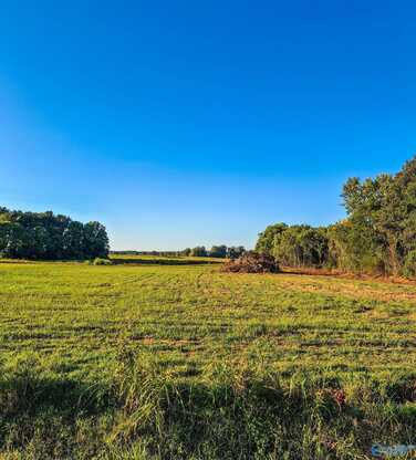 223 Pike Parvin Road, Meridianville, AL 35759