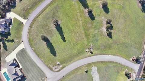 60 Legendary Drive, Guntersville, AL 35976