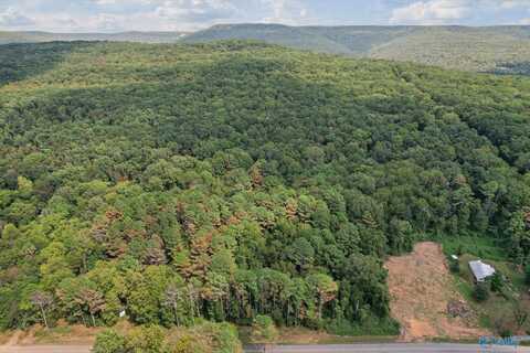 10 Acres Neal Drive, Gurley, AL 35748