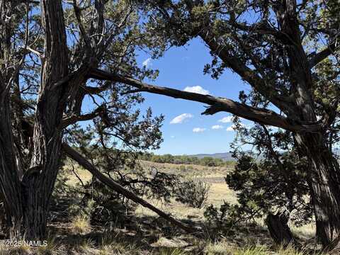 000 Off Palomino Dr, Williams, AZ 86046