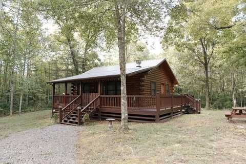 170 Ashley Drive, Mc Caysville, GA 30555
