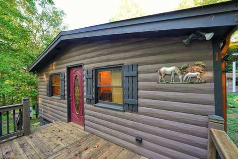 192 Bushy Head Road, Cherry Log, GA 30522
