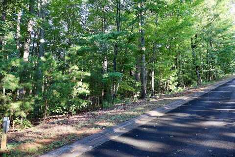 Saw Blade Lane, Ellijay, GA 30540