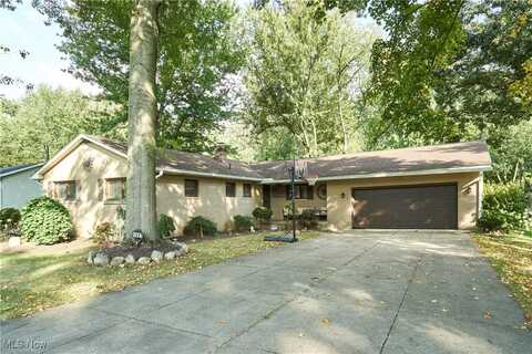 1097 Oak Tree Road, Akron, OH 44320