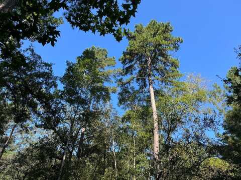 18947 U S Highway 259, Nacogdoches, TX 75965