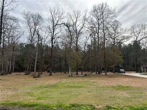 27720 IVY SPRINGS Drive, Independence, LA 70443