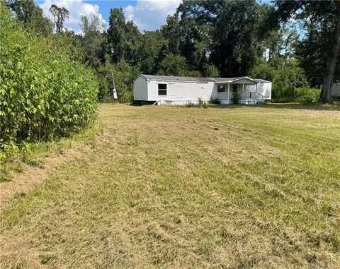 12539 YOUNG Lane, Amite, LA 70422
