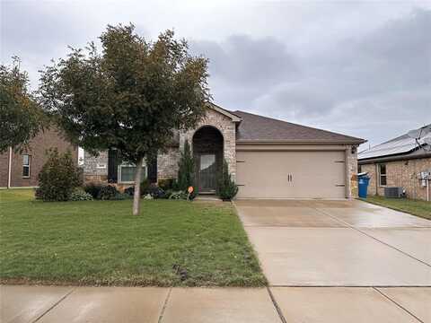 306 Plum Drive, Josephine, TX 75173