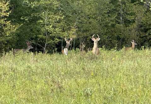 0 County Road G, Wausau, WI 54403