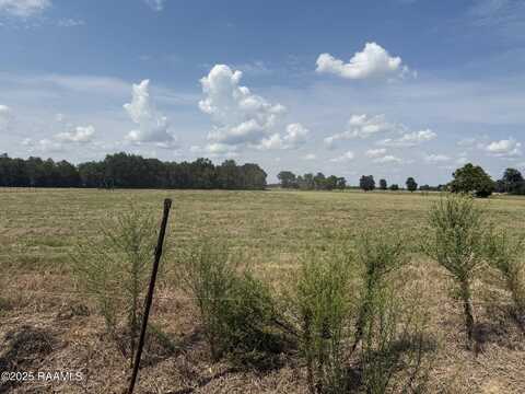 Tbd Winding Road, Ville Platte, LA 70586