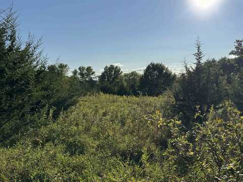 5 Woodside, GALENA, IL 61036