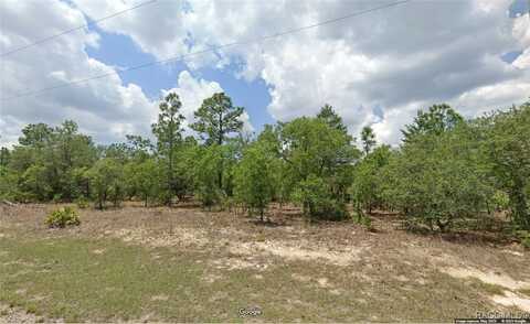 6642 N Roland Drive, Dunnellon, FL 34433