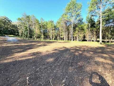 5717 Grasshopper Road, Birchwood, TN 37308