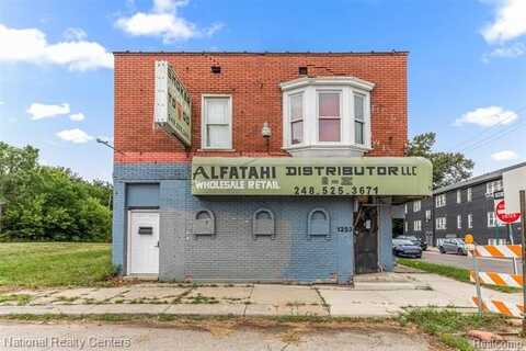1253 Junction Street, Detroit, MI 48209