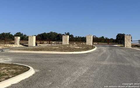 699 Whiskey Trail, Blanco, TX 78606