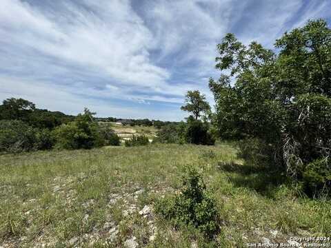 134 W Eli Chandler, Blanco, TX 78606